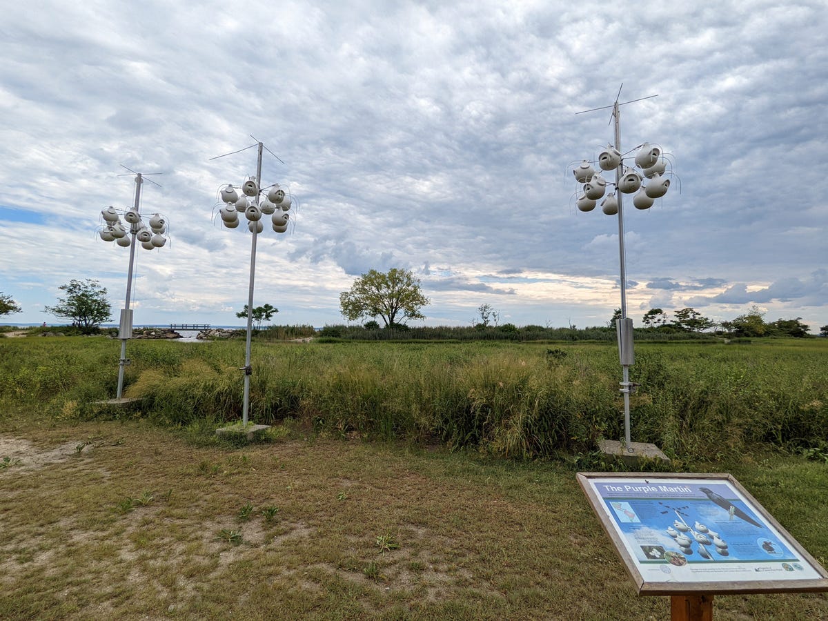 Đánh giá Google Pixel 6a: Điện thoại đạt mọi chỉ số tốt trong tầm giá 10 triệu đồng