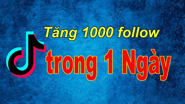 ✅ Tăng 1000 follow tiktok trong 1 ngày!!!