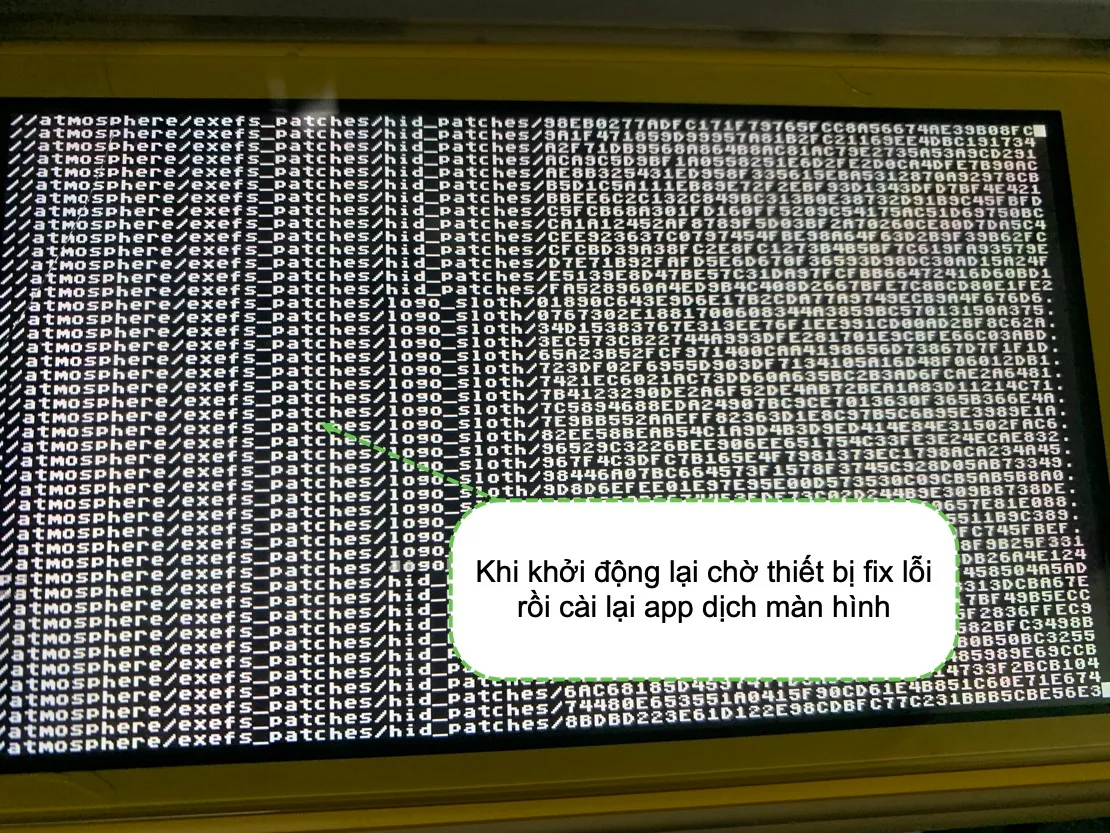 Fix lỗi crash và không mở được game nào trên nintendo switch